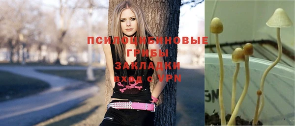 прущие крисы Магас